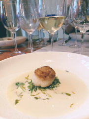 Scallop