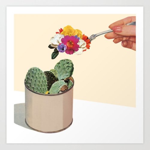 succulent-1zq-prints.jpg