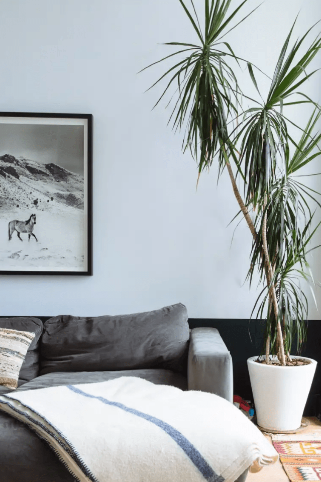 Screen Shot 2019-03-27 at 8.47.41 PM.png